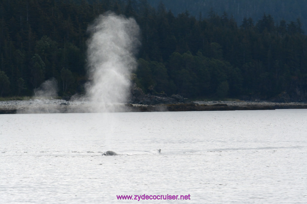 100: Carnival Miracle Alaska Cruise, Juneau, 