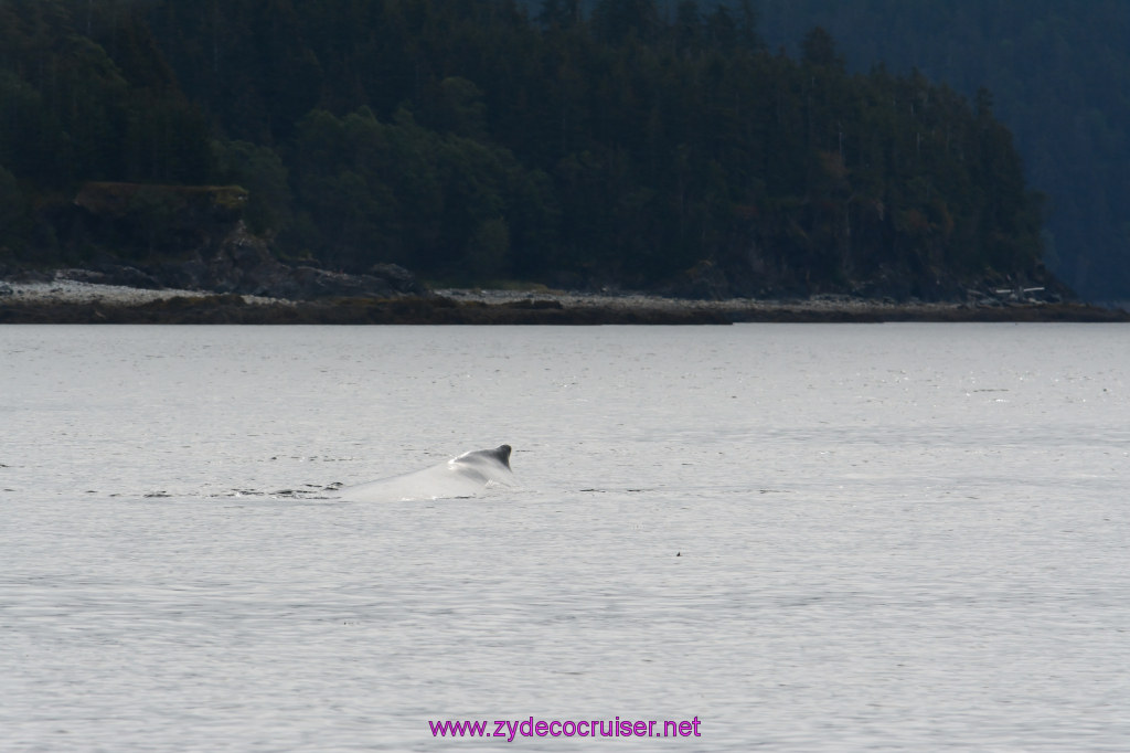 105: Carnival Miracle Alaska Cruise, Juneau, 