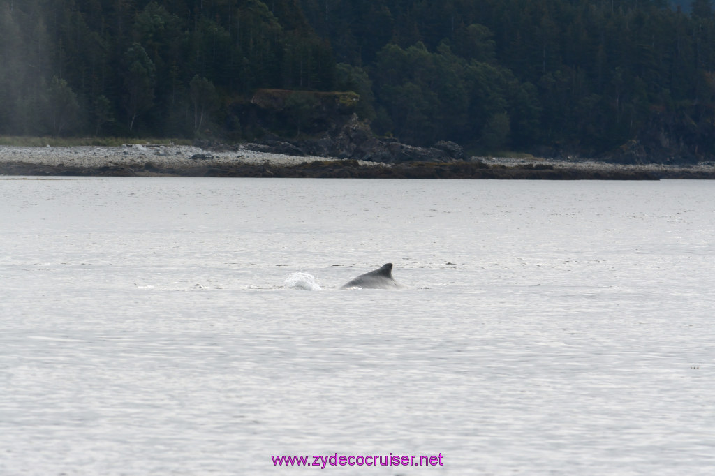 106: Carnival Miracle Alaska Cruise, Juneau, 