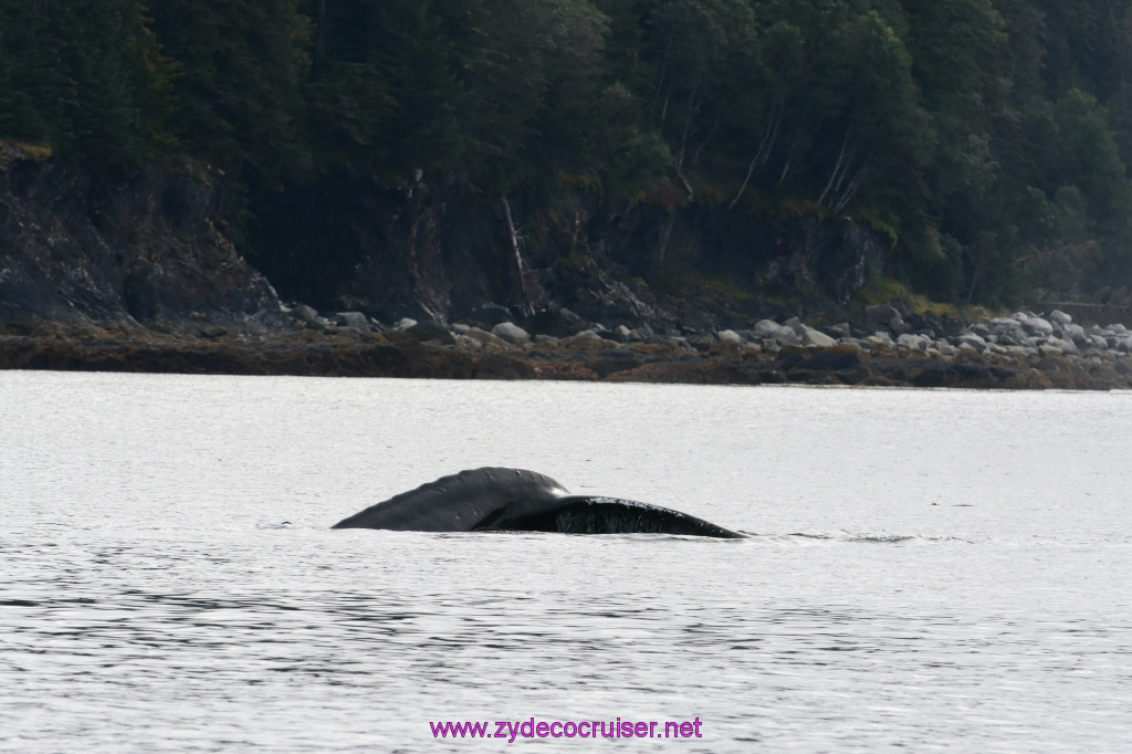 111: Carnival Miracle Alaska Cruise, Juneau, 