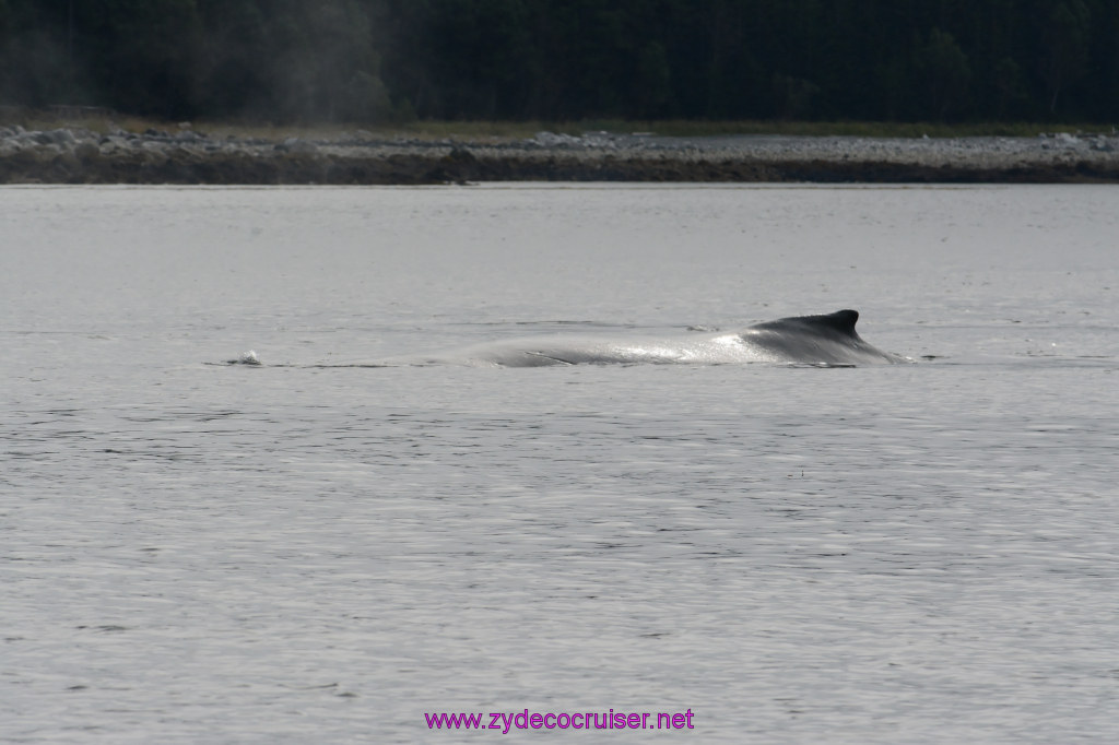 115: Carnival Miracle Alaska Cruise, Juneau, 