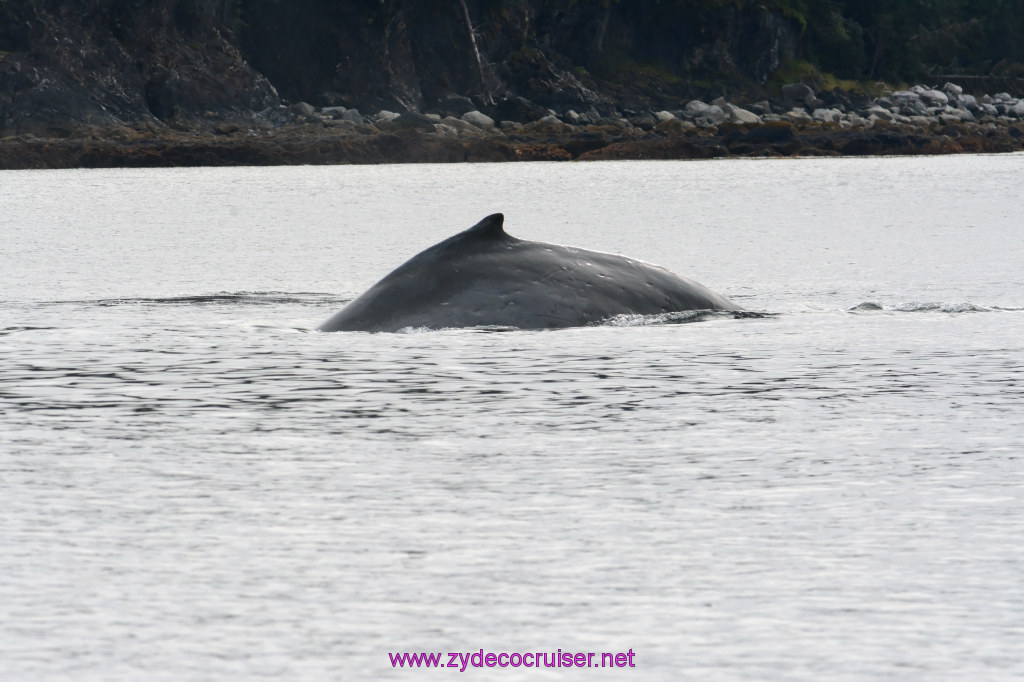 117: Carnival Miracle Alaska Cruise, Juneau, 