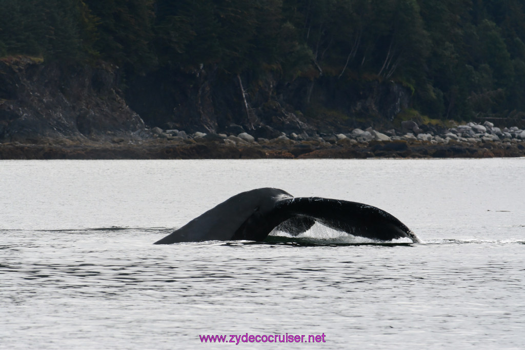 119: Carnival Miracle Alaska Cruise, Juneau, 