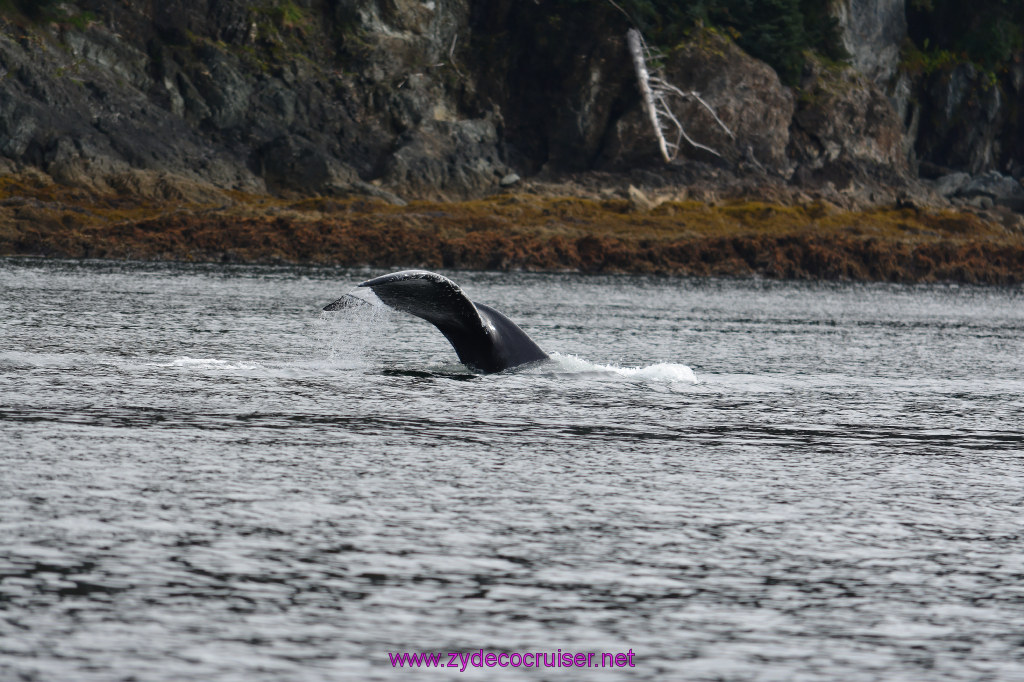 131: Carnival Miracle Alaska Cruise, Juneau, Harv and Marv's Whale Watching, 