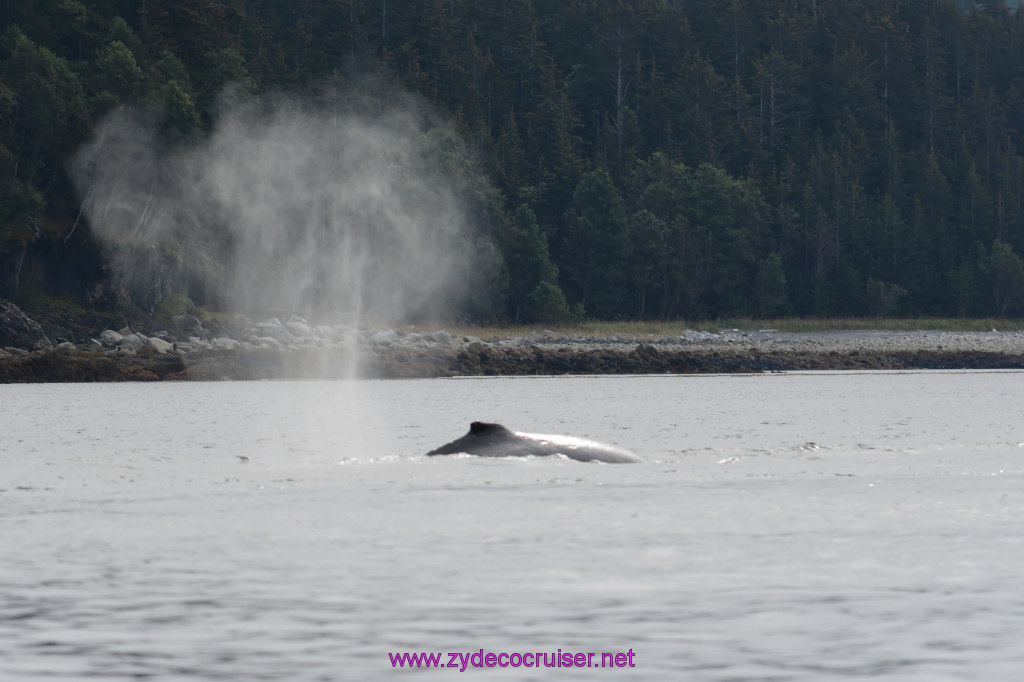 139: Carnival Miracle Alaska Cruise, Juneau, Harv and Marv's Whale Watching, 