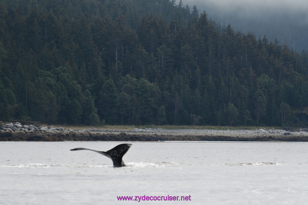 144: Carnival Miracle Alaska Cruise, Juneau, Harv and Marv's Whale Watching, 