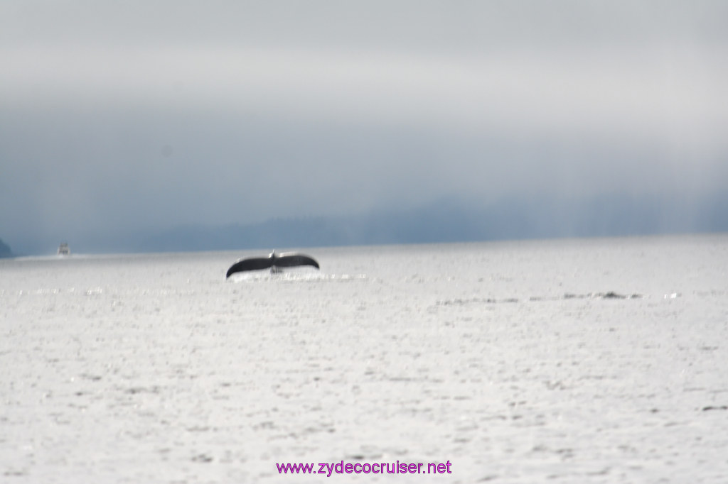 158: Carnival Miracle Alaska Cruise, Juneau, Harv and Marv's Whale Watching, 