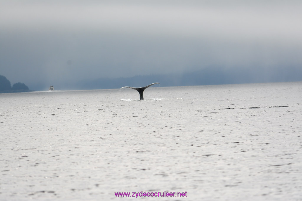 159: Carnival Miracle Alaska Cruise, Juneau, Harv and Marv's Whale Watching, 