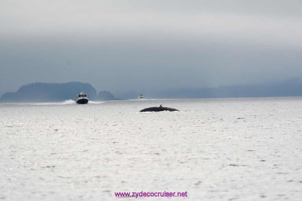 162: Carnival Miracle Alaska Cruise, Juneau, Harv and Marv's Whale Watching, 