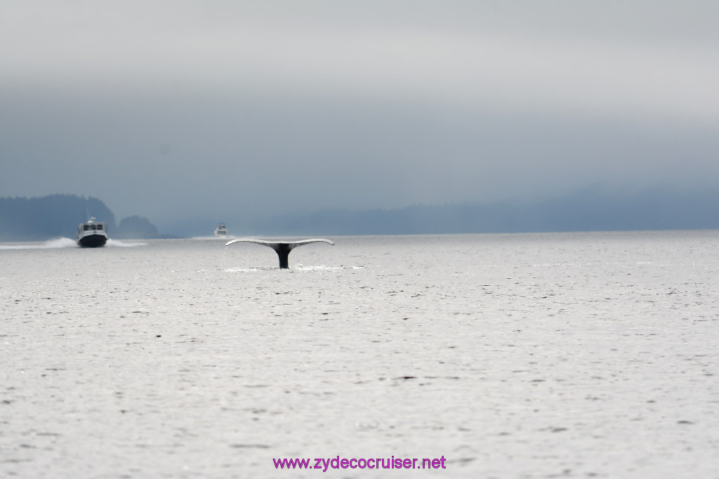 163: Carnival Miracle Alaska Cruise, Juneau, Harv and Marv's Whale Watching, 