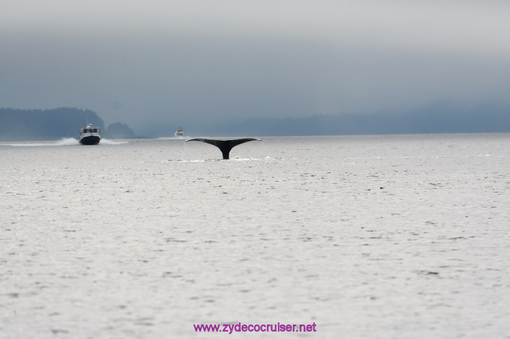 164: Carnival Miracle Alaska Cruise, Juneau, Harv and Marv's Whale Watching, 