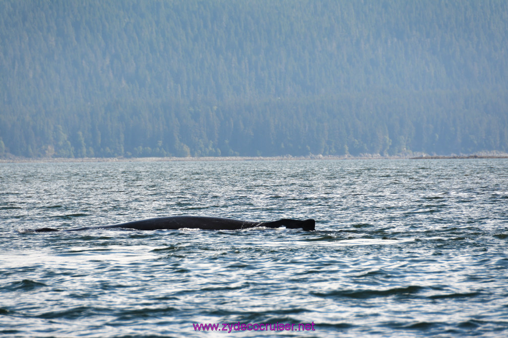 214: Carnival Miracle Alaska Cruise, Juneau, Harv and Marv's Whale Watching, 