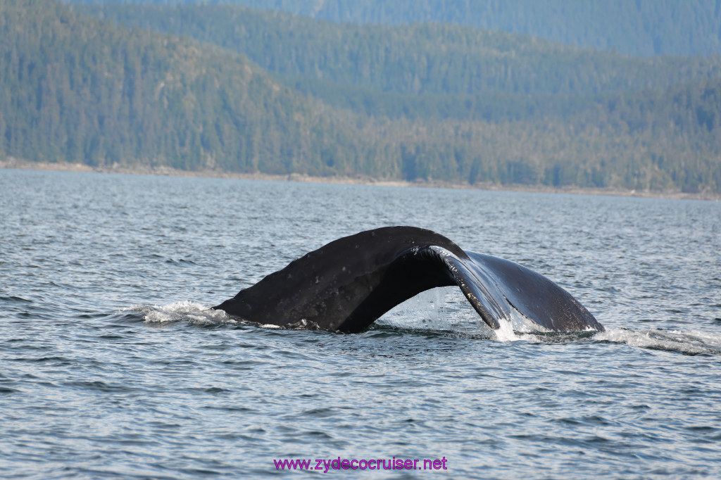 216: Carnival Miracle Alaska Cruise, Juneau, Harv and Marv's Whale Watching, 