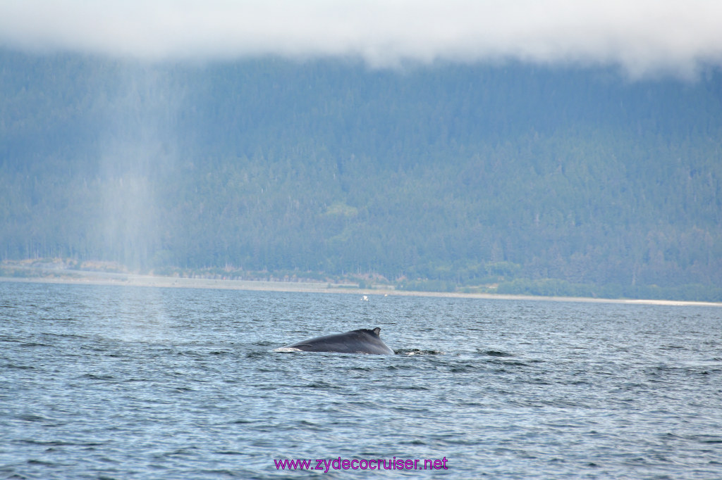 223: Carnival Miracle Alaska Cruise, Juneau, Harv and Marv's Whale Watching, 