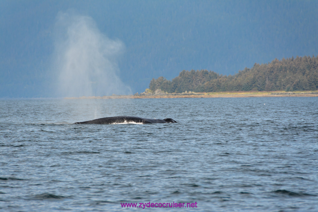 224: Carnival Miracle Alaska Cruise, Juneau, Harv and Marv's Whale Watching, 