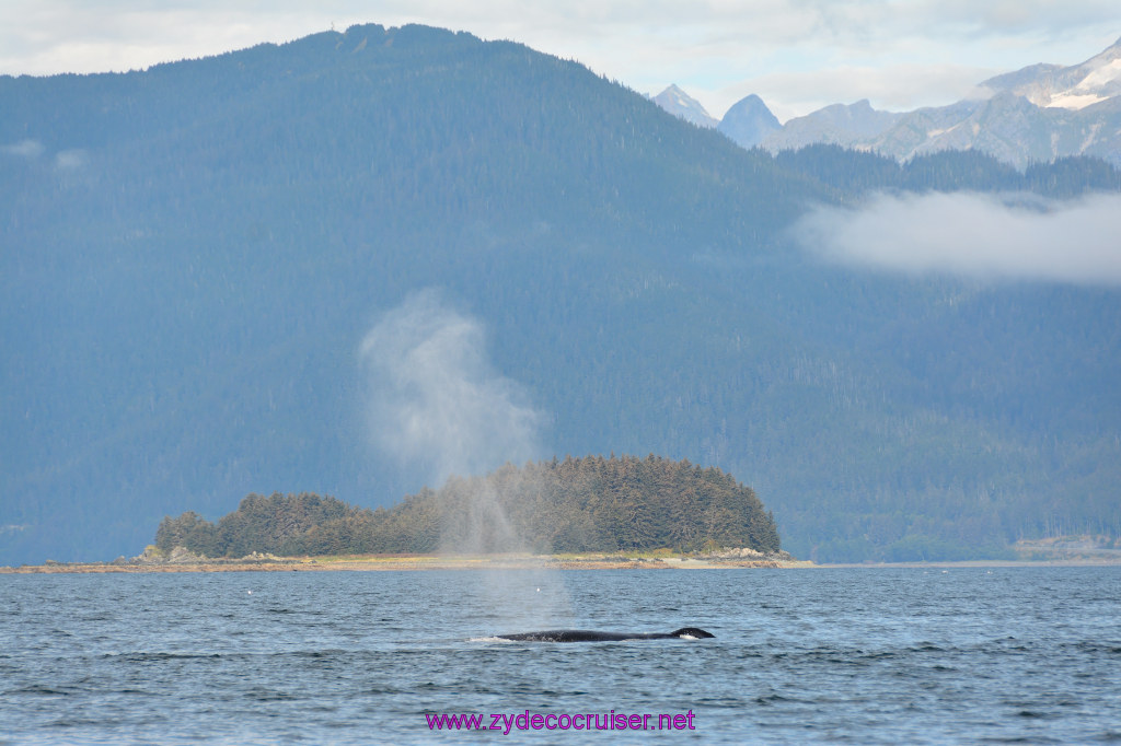 226: Carnival Miracle Alaska Cruise, Juneau, Harv and Marv's Whale Watching, 