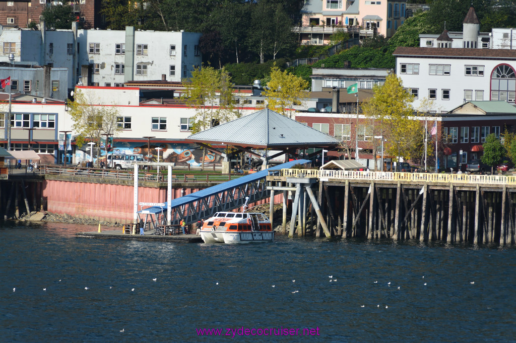 235: Carnival Miracle Alaska Cruise, Juneau, Harv and Marv's Whale Watching, 