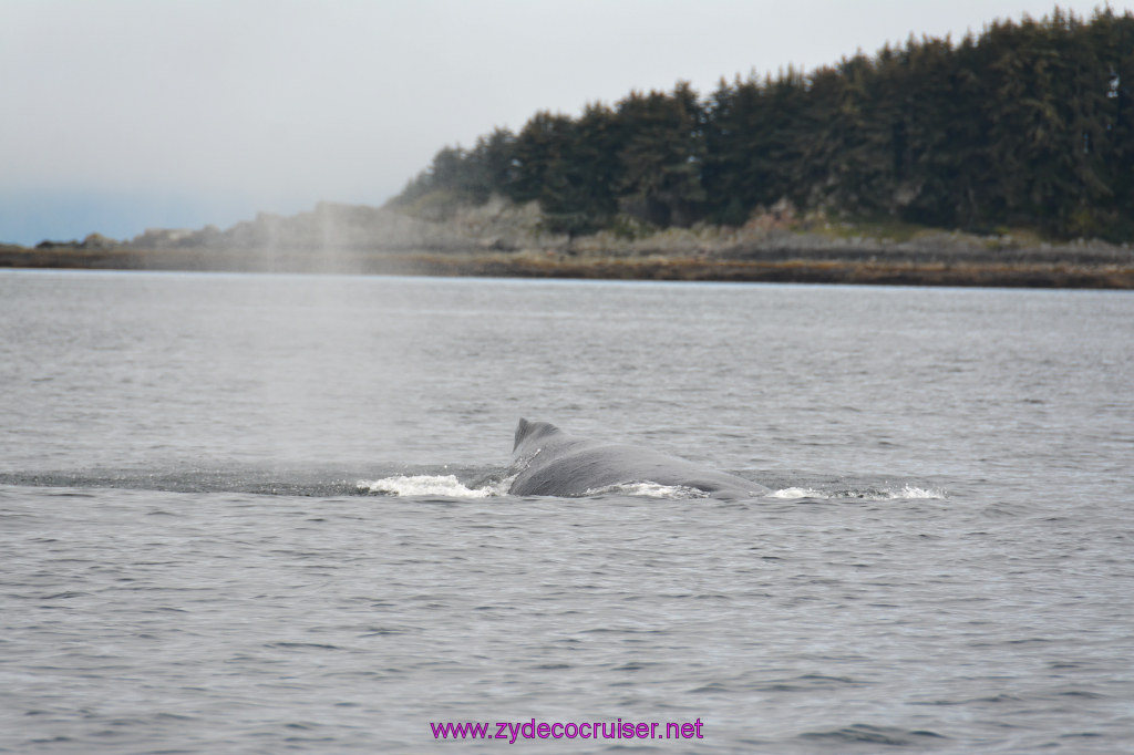 243: Carnival Miracle Alaska Cruise, Juneau, Harv and Marv's Whale Watching, 