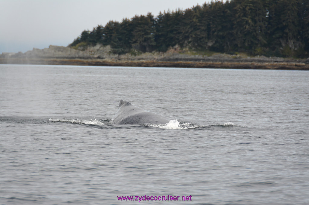 245: Carnival Miracle Alaska Cruise, Juneau, Harv and Marv's Whale Watching, 