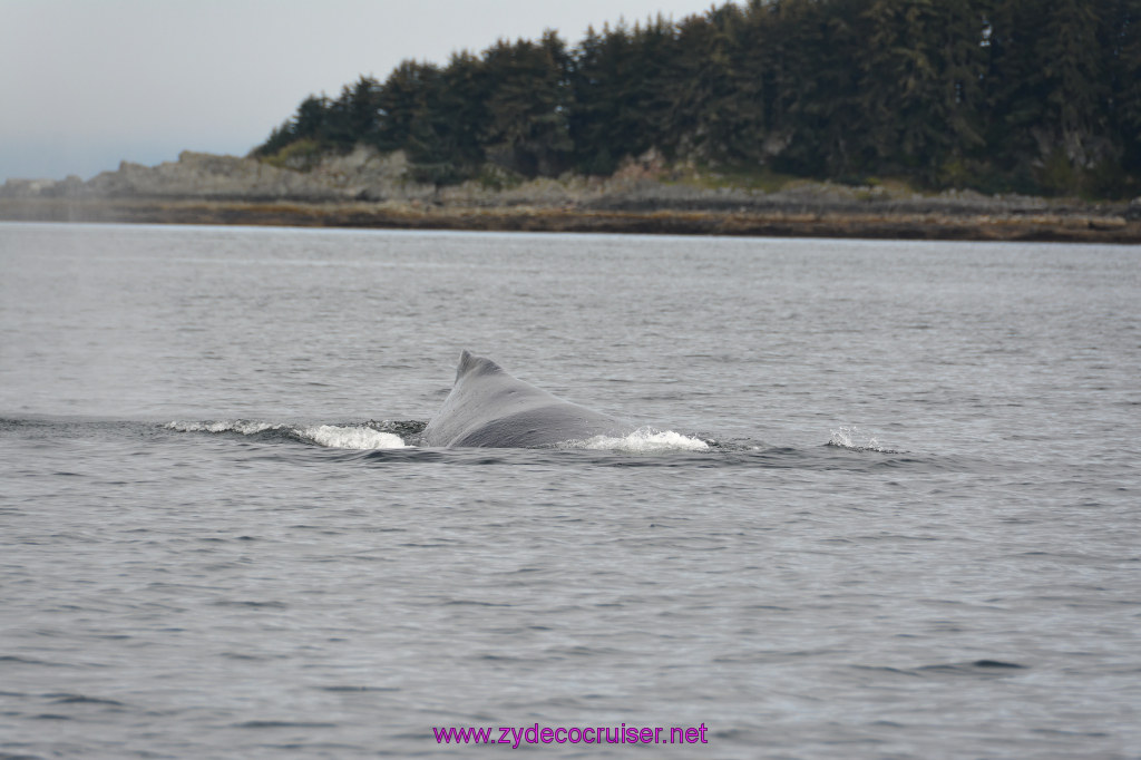 246: Carnival Miracle Alaska Cruise, Juneau, Harv and Marv's Whale Watching, 