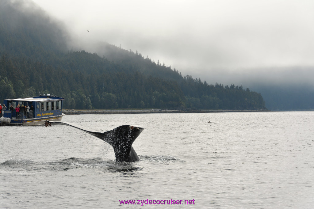 258: Carnival Miracle Alaska Cruise, Juneau, Harv and Marv's Whale Watching, 