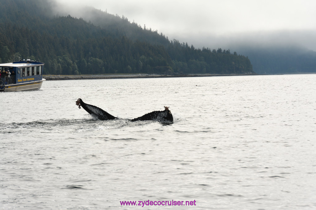 259: Carnival Miracle Alaska Cruise, Juneau, Harv and Marv's Whale Watching, 