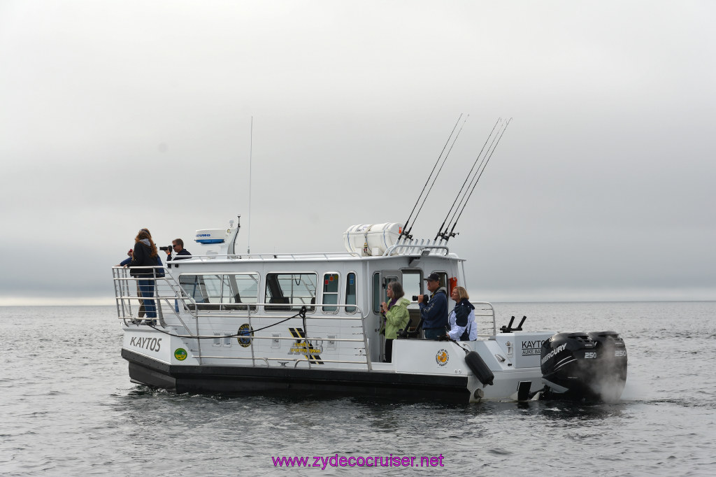 303: Carnival Miracle Alaska Cruise, Juneau, Harv and Marv's Whale Watching, 