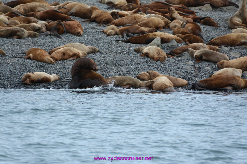 339: Carnival Miracle Alaska Cruise, Juneau, Harv and Marv's Whale Watching, 