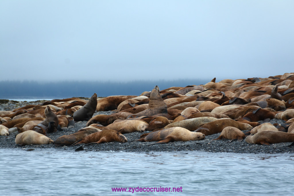 342: Carnival Miracle Alaska Cruise, Juneau, Harv and Marv's Whale Watching, 