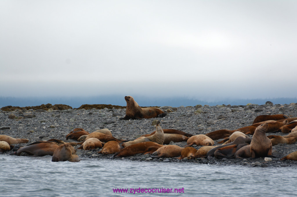 346: Carnival Miracle Alaska Cruise, Juneau, Harv and Marv's Whale Watching, 