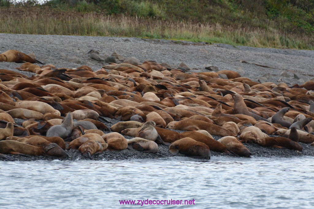 349: Carnival Miracle Alaska Cruise, Juneau, Harv and Marv's Whale Watching, 