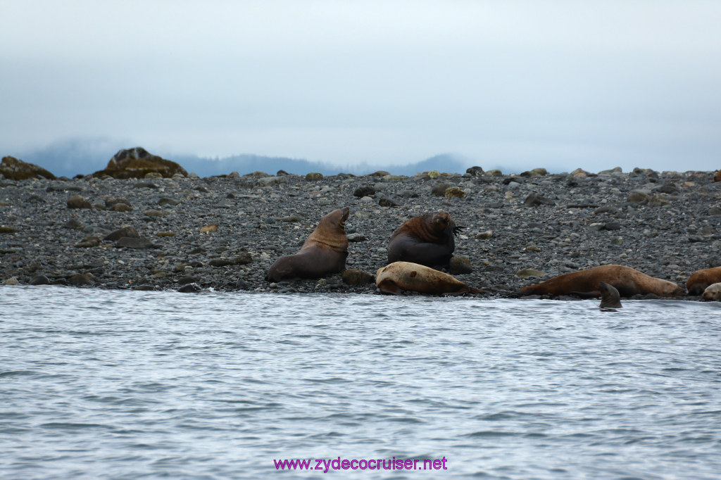 355: Carnival Miracle Alaska Cruise, Juneau, Harv and Marv's Whale Watching, 