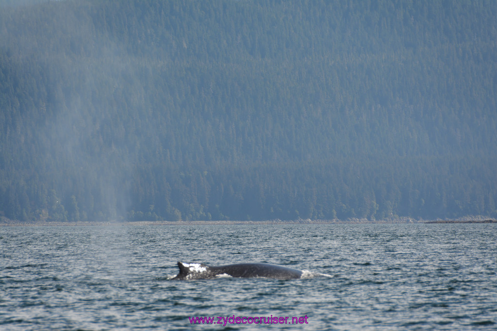 375: Carnival Miracle Alaska Cruise, Juneau, Harv and Marv's Whale Watching, 