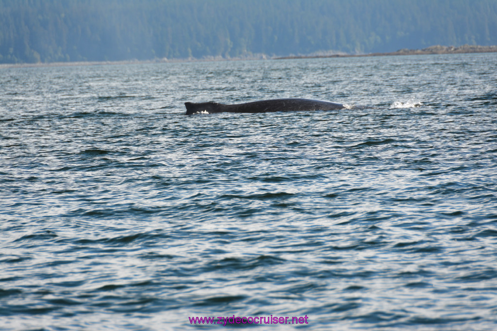 376: Carnival Miracle Alaska Cruise, Juneau, Harv and Marv's Whale Watching, 