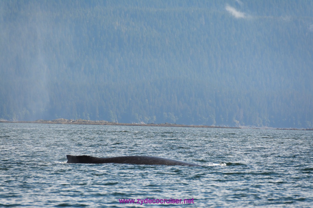 378: Carnival Miracle Alaska Cruise, Juneau, Harv and Marv's Whale Watching, 