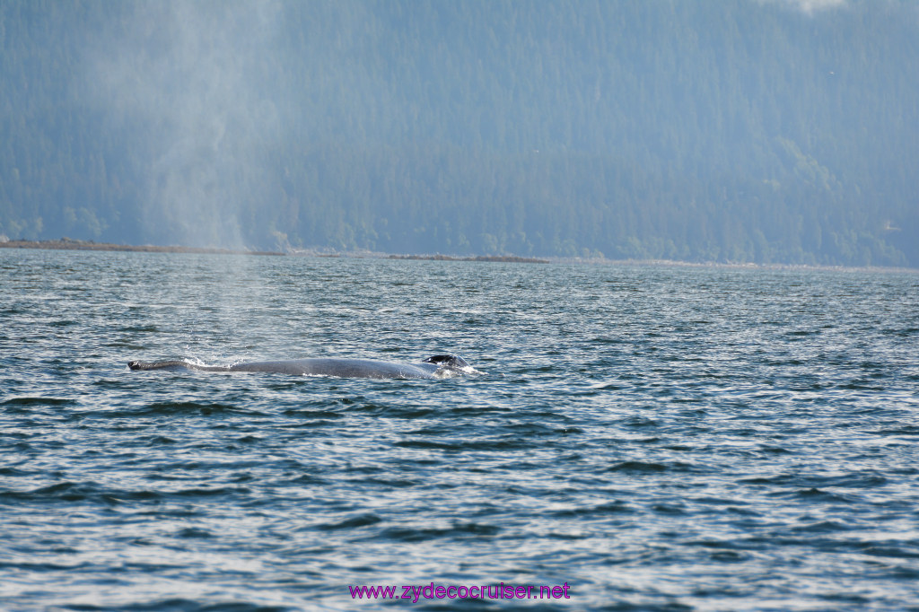 379: Carnival Miracle Alaska Cruise, Juneau, Harv and Marv's Whale Watching, 