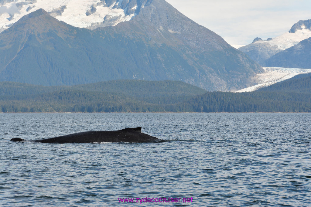 388: Carnival Miracle Alaska Cruise, Juneau, Harv and Marv's Whale Watching, 