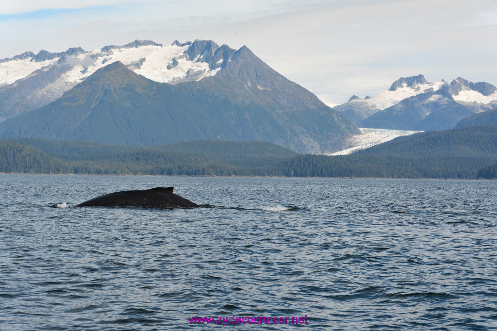 389: Carnival Miracle Alaska Cruise, Juneau, Harv and Marv's Whale Watching, 