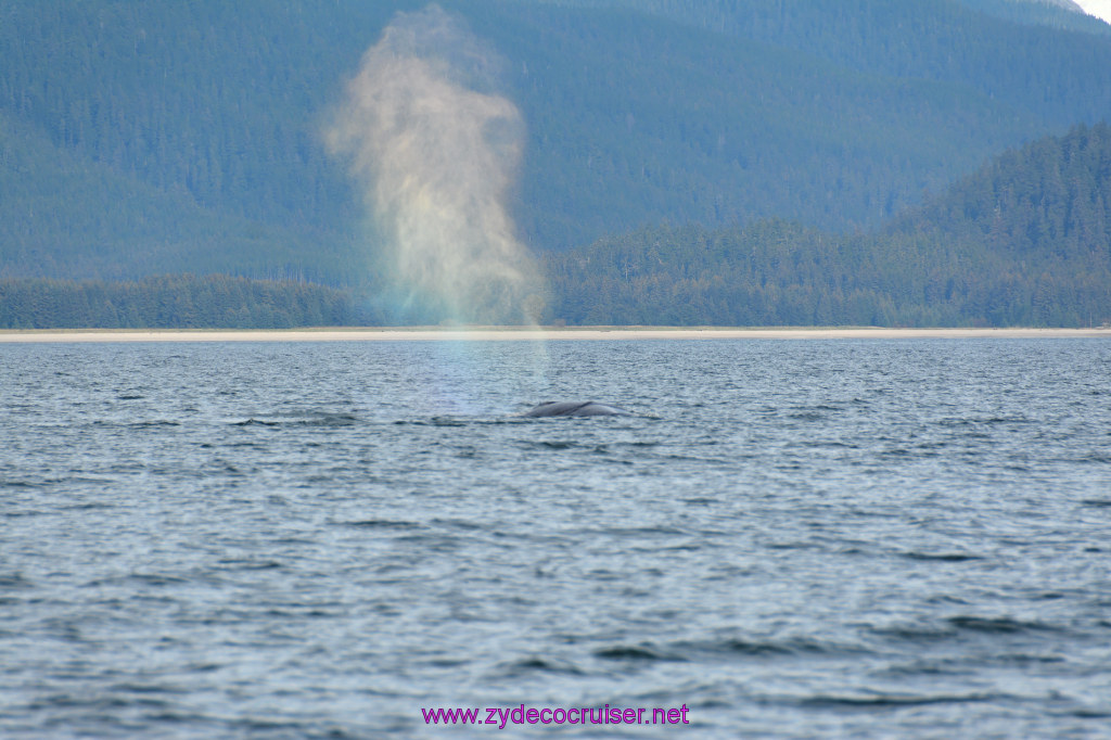 398: Carnival Miracle Alaska Cruise, Juneau, Harv and Marv's Whale Watching, 