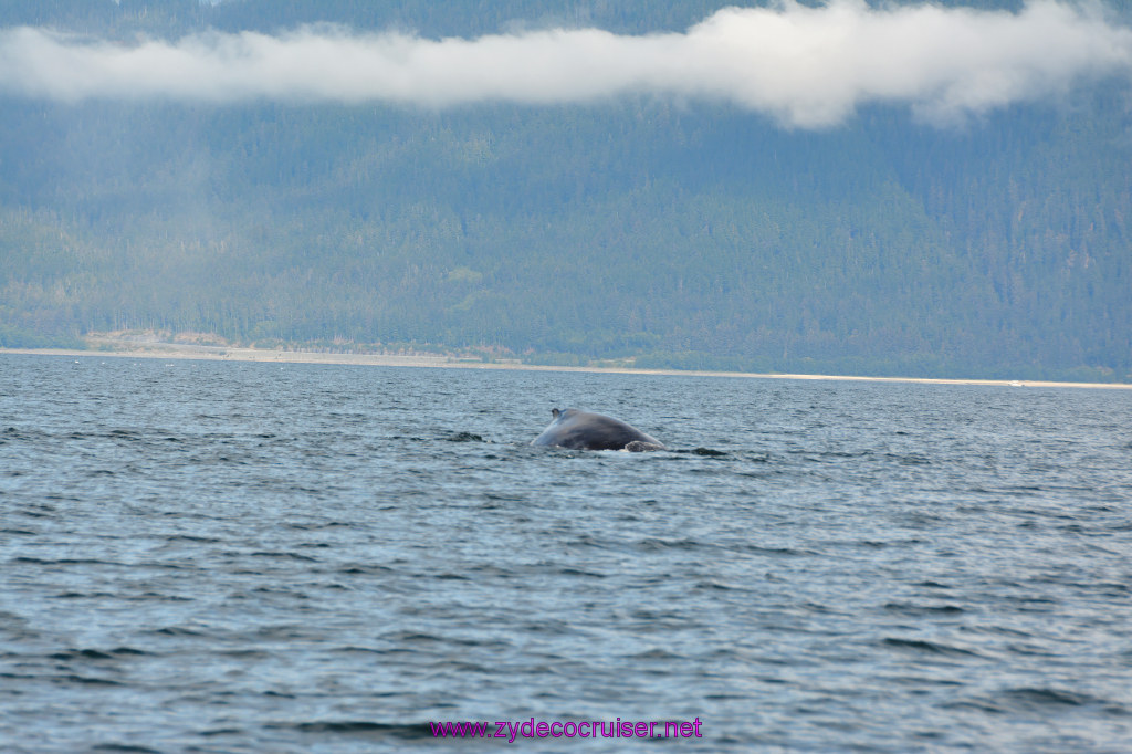 422: Carnival Miracle Alaska Cruise, Juneau, Harv and Marv's Whale Watching, 