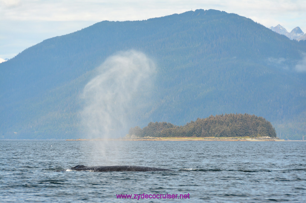 428: Carnival Miracle Alaska Cruise, Juneau, Harv and Marv's Whale Watching, 