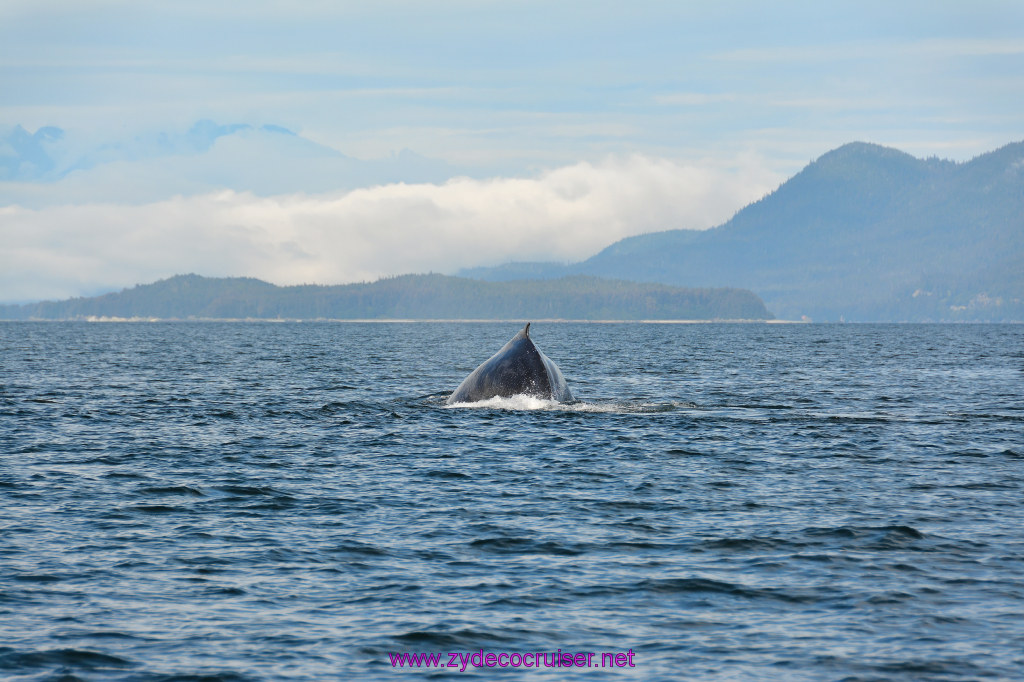 438: Carnival Miracle Alaska Cruise, Juneau, Harv and Marv's Whale Watching, 