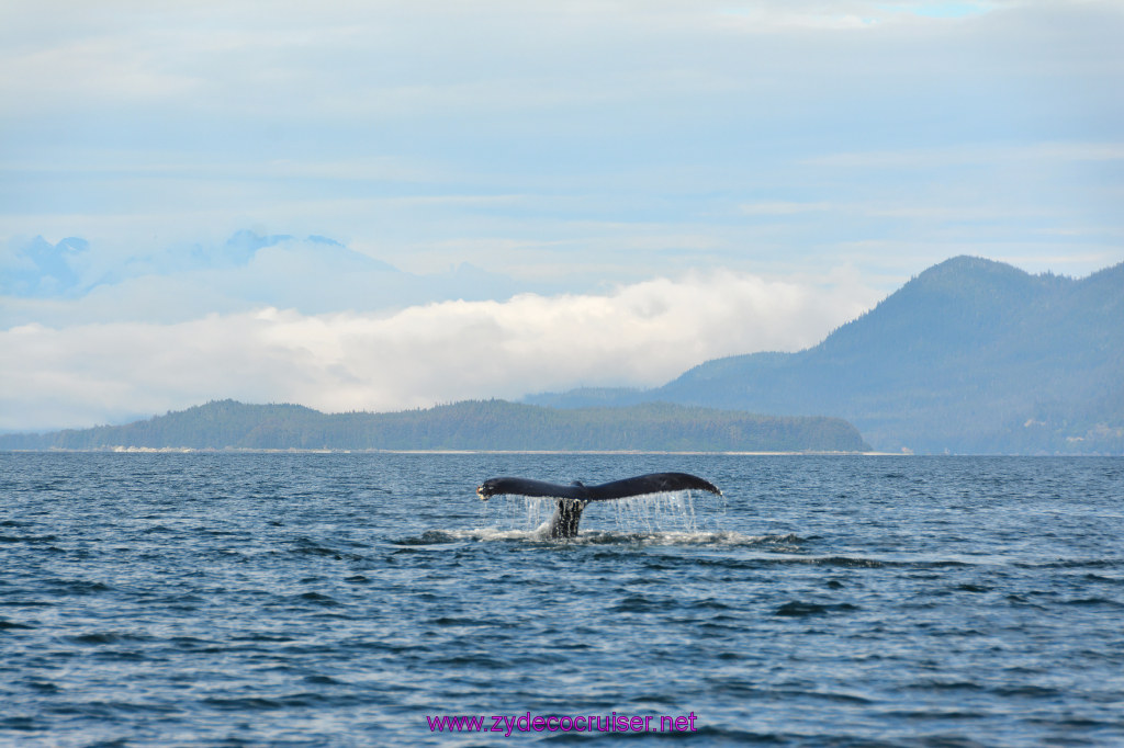 439: Carnival Miracle Alaska Cruise, Juneau, Harv and Marv's Whale Watching, 