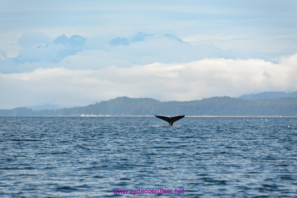 459: Carnival Miracle Alaska Cruise, Juneau, Harv and Marv's Whale Watching, 