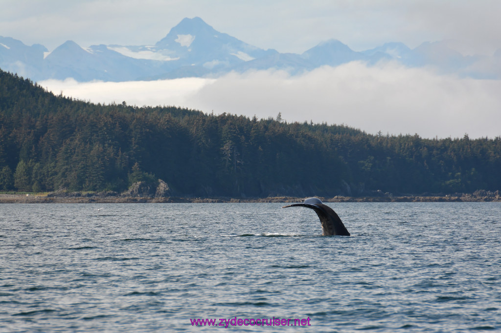 468: Carnival Miracle Alaska Cruise, Juneau, Harv and Marv's Whale Watching, 