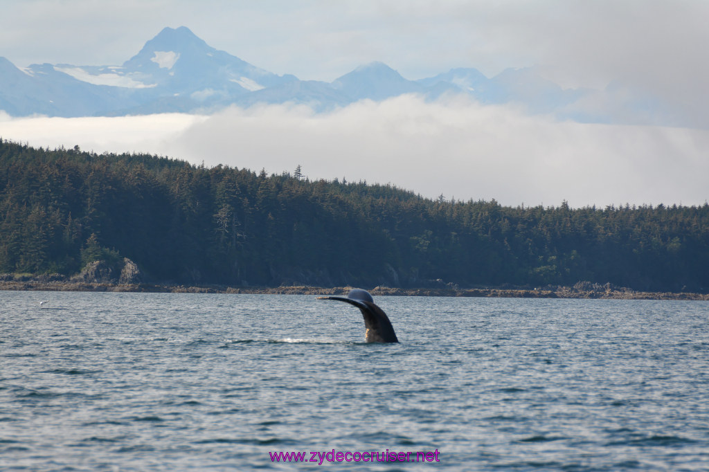 469: Carnival Miracle Alaska Cruise, Juneau, Harv and Marv's Whale Watching, 