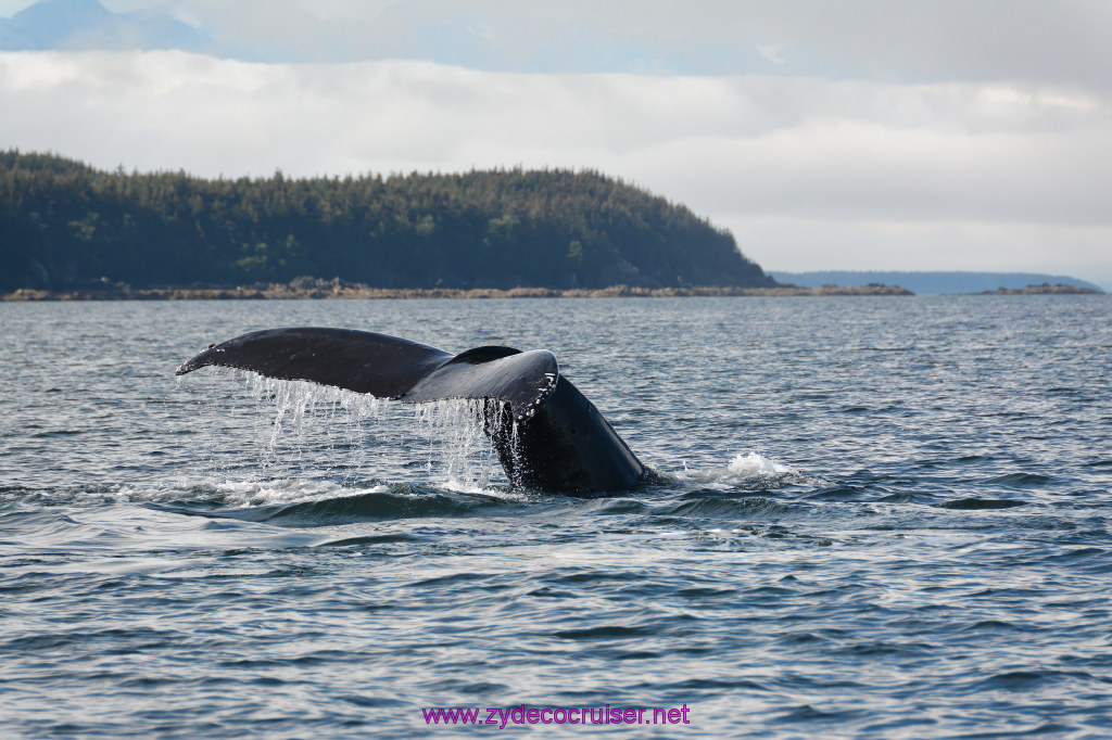 563: Carnival Miracle Alaska Cruise, Juneau, Harv and Marv's Whale Watching, 