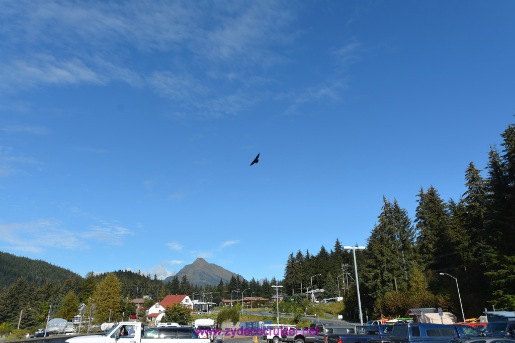 586: Carnival Miracle Alaska Cruise, Juneau, Harv and Marv's Whale Watching, 