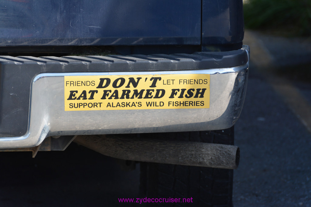 588: Carnival Miracle Alaska Cruise, Juneau, Harv and Marv's Whale Watching, 