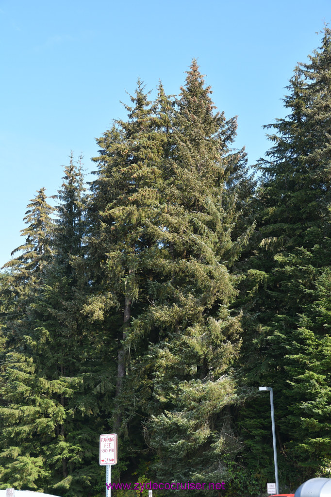 590: Carnival Miracle Alaska Cruise, Juneau, Harv and Marv's Whale Watching, 